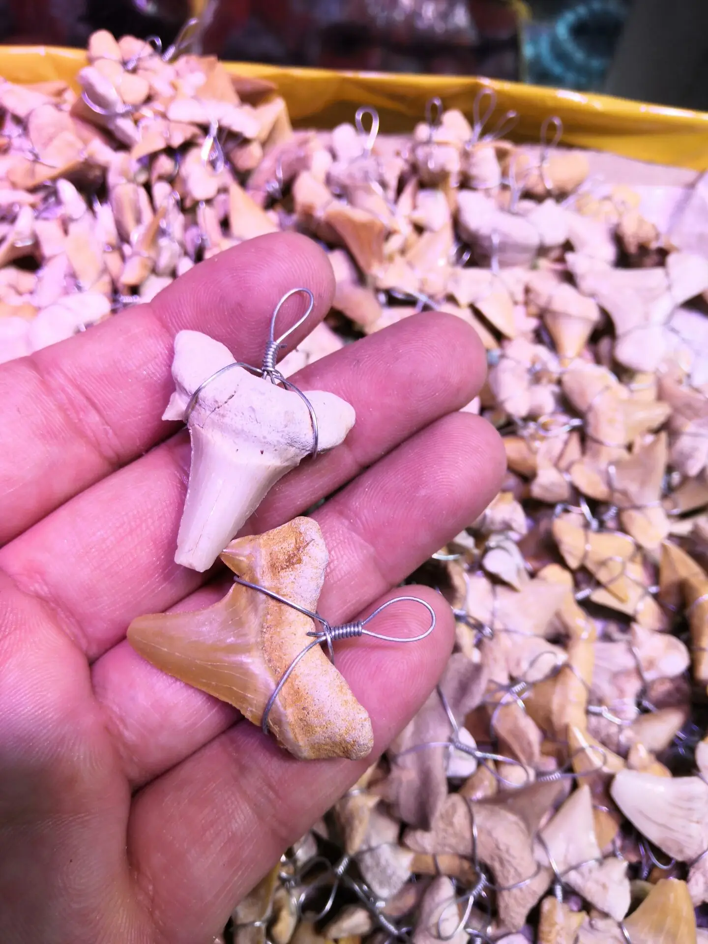Naravni morski Pes Zob Fosilnih Obesek surovega kamna in Kristalno fosilnih primerkov reiki healing iz Maroka-1pc