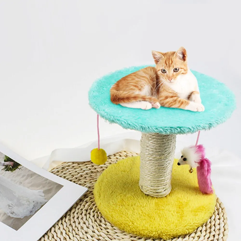 Cat mačka igrače praskanje platformo mačka praskanje post drevo praskanje bar telovadnici house cat športni platformo naključno barvo^1