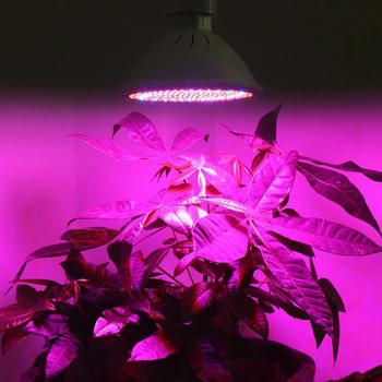 200 LED Rastlin Raste Lučka Lučka za Gojenje Luči Žarnice Hydroponics Sistem za Rastline Cvet vegs Rastlinskih Zaprtih Toplogrednih E27