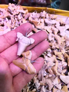 Naravni morski Pes Zob Fosilnih Obesek surovega kamna in Kristalno fosilnih primerkov reiki healing iz Maroka-1pc