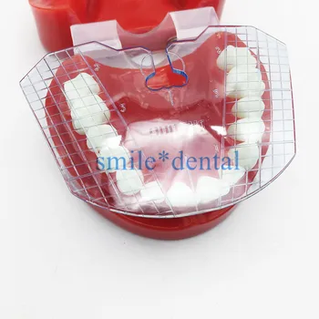 1pcs zobni laboratorij zobne vodnik ploščo zob dogovora o proteza dela