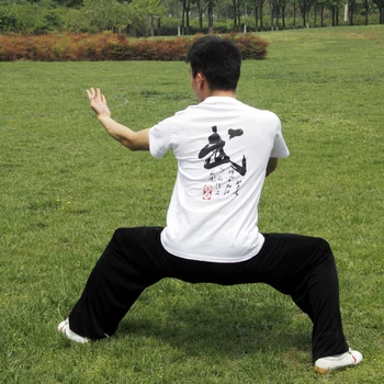 Nove borilne veščine majice Wu besedo T-shirt Čisto v redu mikanja usposabljanje t - Shirt Kratkimi Kitajski Zveza Wushu