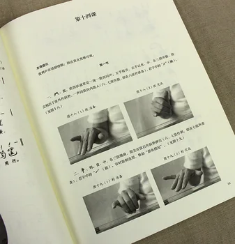 Guqin 30 Lekcij Tutorial Li Fengyun Samostojno učenje Video Začetnike Seveda Učbenik Knjig Nič Temelj Začetek Vaje