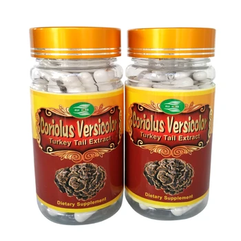 3Bottles Coriolus Versicolor (Turčija Rep) Ekstrakta 30% Polysaccharide Kape 500 mg x 270counts brezplačna dostava