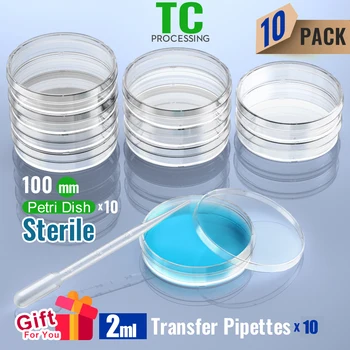Sterilno Petrijevko s Pokrovom 100mm, z 2ml Plastičnih Prenos Pipete posameznih paket za Ks-Tek 10/Paket