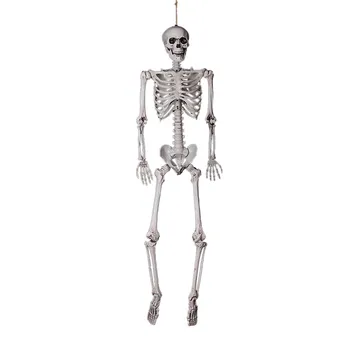 Največji Dobavitelj 1Pcs Halloween Prop Človeško Okostje Polni Velikosti Lobanje Strani Življenja Telo Anatomija Model Okraski Za noč Čarovnic d3