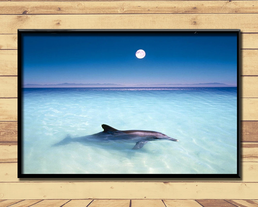 Dolphin Lep Morskih Živali (9) Steno, Plakati, Tiskanje Svile Umetnosti Slikarstva Za Domačo Steno Spalnica Dekor