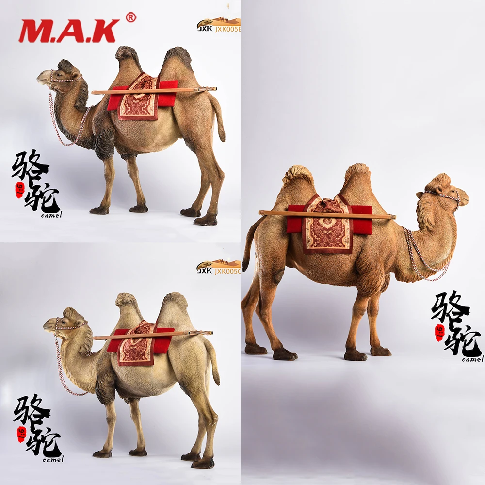Jxk005 Za Zbiranje 1/6 Slika Scene Pribor actrian Kamele Camelus Smolo Živali Slika Model za 12