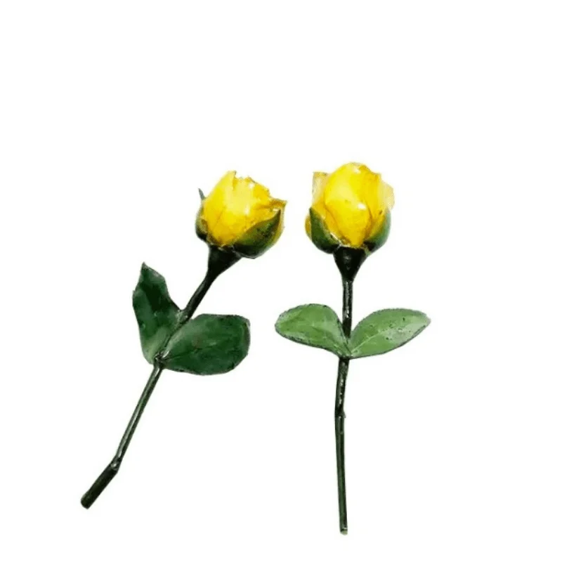 1PC Naravno Posušeni Cvet, Čar Smolo Rose Pravi Suhi Cvet čarobne gumbe Za Nakit, Izdelava Corydalis Mobilni Telefon Lupini Opremo