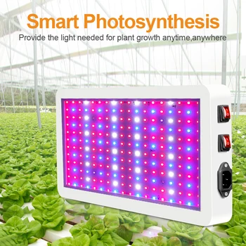 LED Grow Light Celoten Spekter Nepremočljiva Phytolamp 3000W 2835 Led Čip Ffs Lučka za Rast Rastlin Razsvetljava za Sobne Rastline