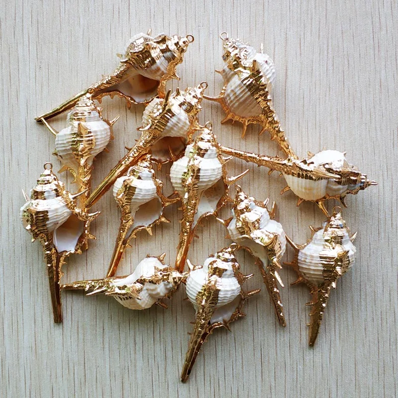 Debelo 12pcs/veliko Naravnih Zlata strani Conch Lupine Za DIY Obesek Bež Seashell Plovila, Ročno izdelan nakit Dodatki brezplačno