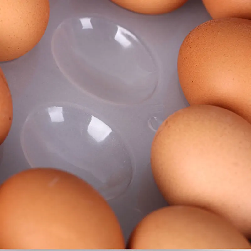 Kuhinja Jajce Škatla Za Shranjevanje Organizator Hladilnik Za Shranjevanje Jajce 24 Jajca Ohraniti Sveže Prah Dokaz Posodi Jajce Imetnik Police Polica