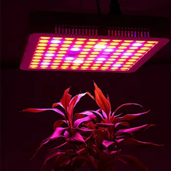 Rastlin, ki rastejo Svetilke Celoten Spekter Rastlin Raste Led Luč Za emisije Toplogrednih Rastejo Šotor Rastlin, Sadik in Cvet Rastline Rastejo Svetlobe