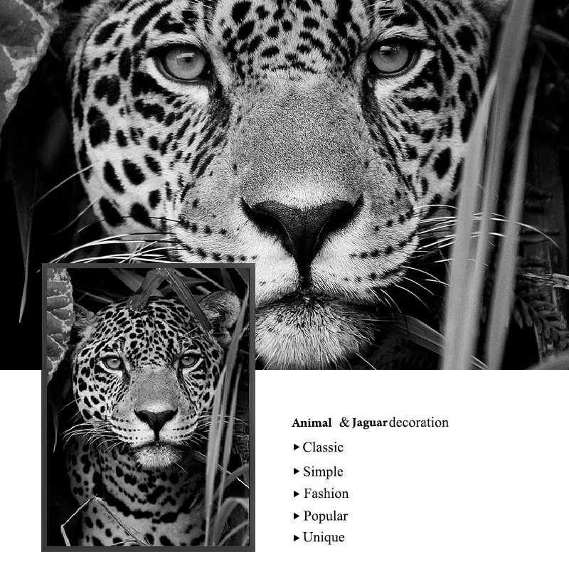 Nordijska Jaguar Krava Srčkan Alpake Živali Črno Belo Steno Umetnosti Vrtec Platno Slikarstvo Plakatov in Fotografij za Dnevni Sobi Doma Dekor