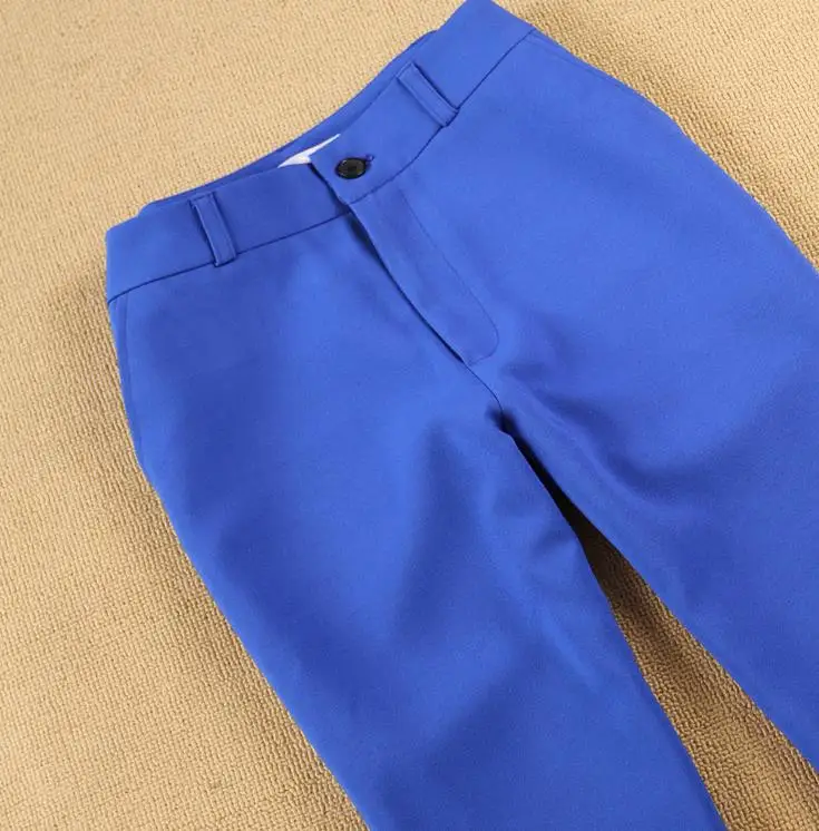 Sopihanje Obleke Nastavite žensk jeseni žensko strokovno urad dama jopič Slim modri suknjič+ hlače noge hlače dveh sklopov