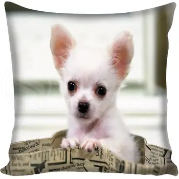 Po meri Chihuahua lep pes Prevleke Kvadratnih Zadrgo Domu Dekorativni Vzglavnik Zajema Dva Straneh Tiskanih 35X35 40X40 45X45 60X60